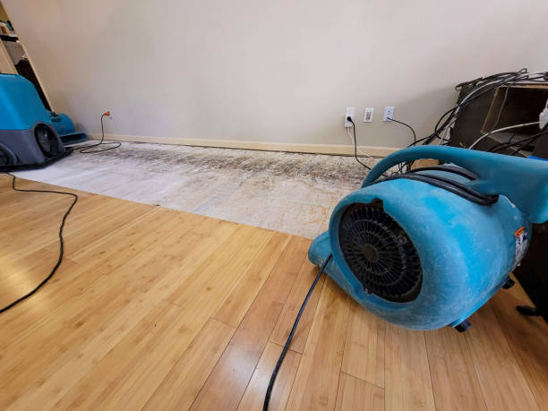 Professional Burst Pipe Water Damage technician working in Greenville, IL